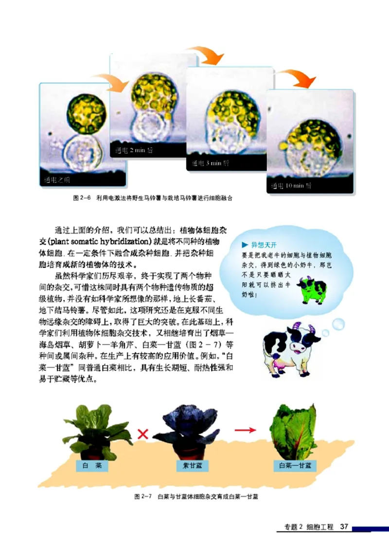 高中生物选修3现代生物科技专题_4-教培资料-26年最新资料-同步更新_初中高中教资_03科三专项（进去保存报考的学科即可）_02科三专项（笔记真题思维导图教学设计版本二）