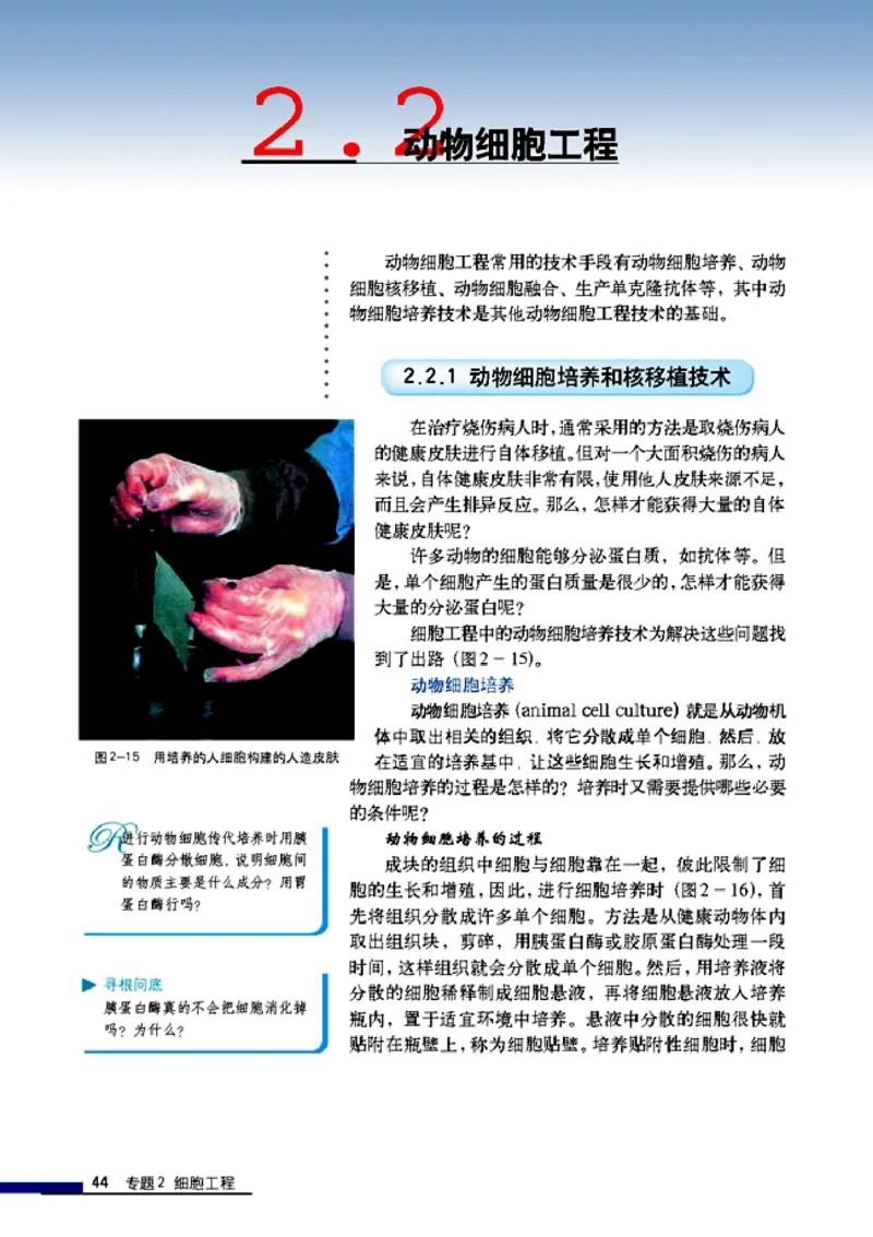 高中生物选修3现代生物科技专题_4-教培资料-26年最新资料-同步更新_初中高中教资_03科三专项（进去保存报考的学科即可）_02科三专项（笔记真题思维导图教学设计版本二）