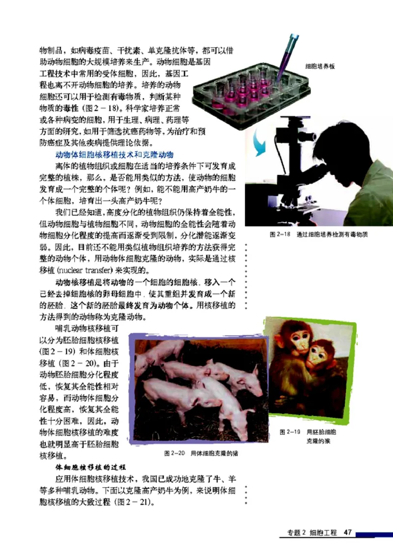 高中生物选修3现代生物科技专题_4-教培资料-26年最新资料-同步更新_初中高中教资_03科三专项（进去保存报考的学科即可）_02科三专项（笔记真题思维导图教学设计版本二）