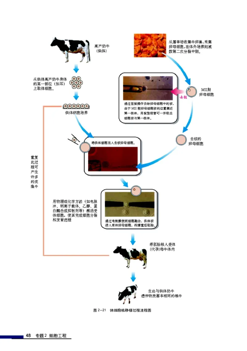 高中生物选修3现代生物科技专题_4-教培资料-26年最新资料-同步更新_初中高中教资_03科三专项（进去保存报考的学科即可）_02科三专项（笔记真题思维导图教学设计版本二）