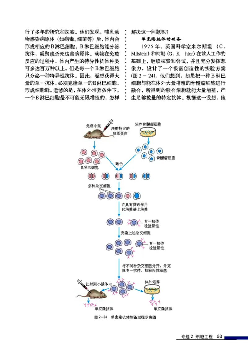 高中生物选修3现代生物科技专题_4-教培资料-26年最新资料-同步更新_初中高中教资_03科三专项（进去保存报考的学科即可）_02科三专项（笔记真题思维导图教学设计版本二）