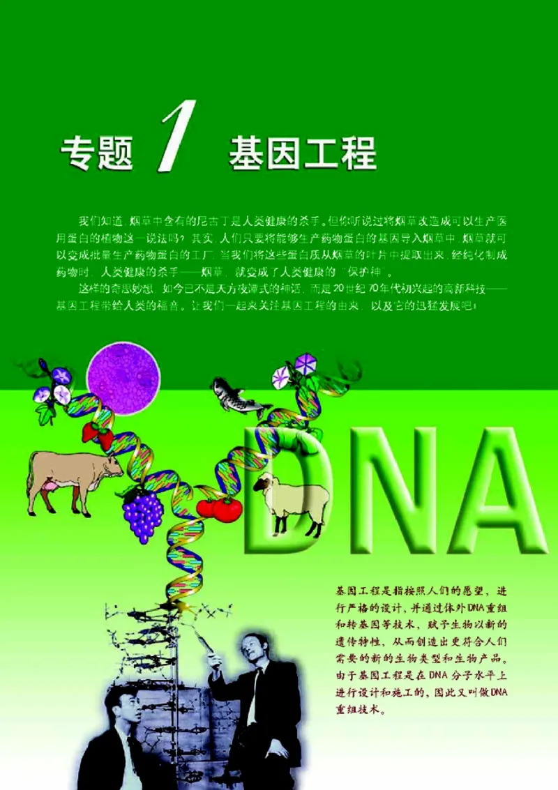 高中生物选修3现代生物科技专题_4-教培资料-26年最新资料-同步更新_初中高中教资_03科三专项（进去保存报考的学科即可）_02科三专项（笔记真题思维导图教学设计版本二）