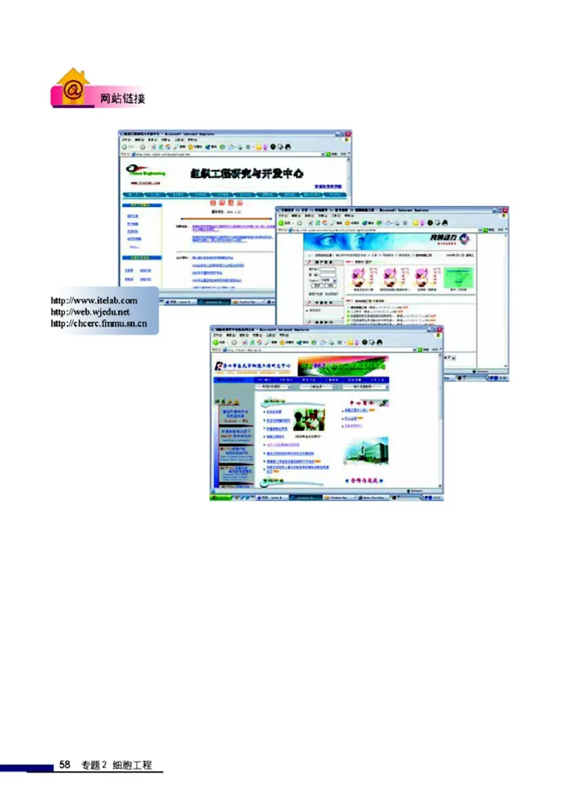 高中生物选修3现代生物科技专题_4-教培资料-26年最新资料-同步更新_初中高中教资_03科三专项（进去保存报考的学科即可）_02科三专项（笔记真题思维导图教学设计版本二）