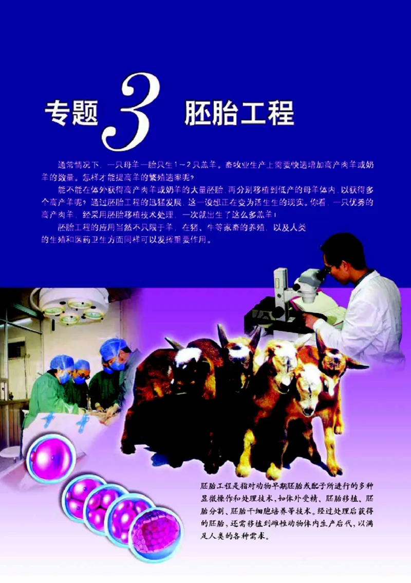 高中生物选修3现代生物科技专题_4-教培资料-26年最新资料-同步更新_初中高中教资_03科三专项（进去保存报考的学科即可）_02科三专项（笔记真题思维导图教学设计版本二）