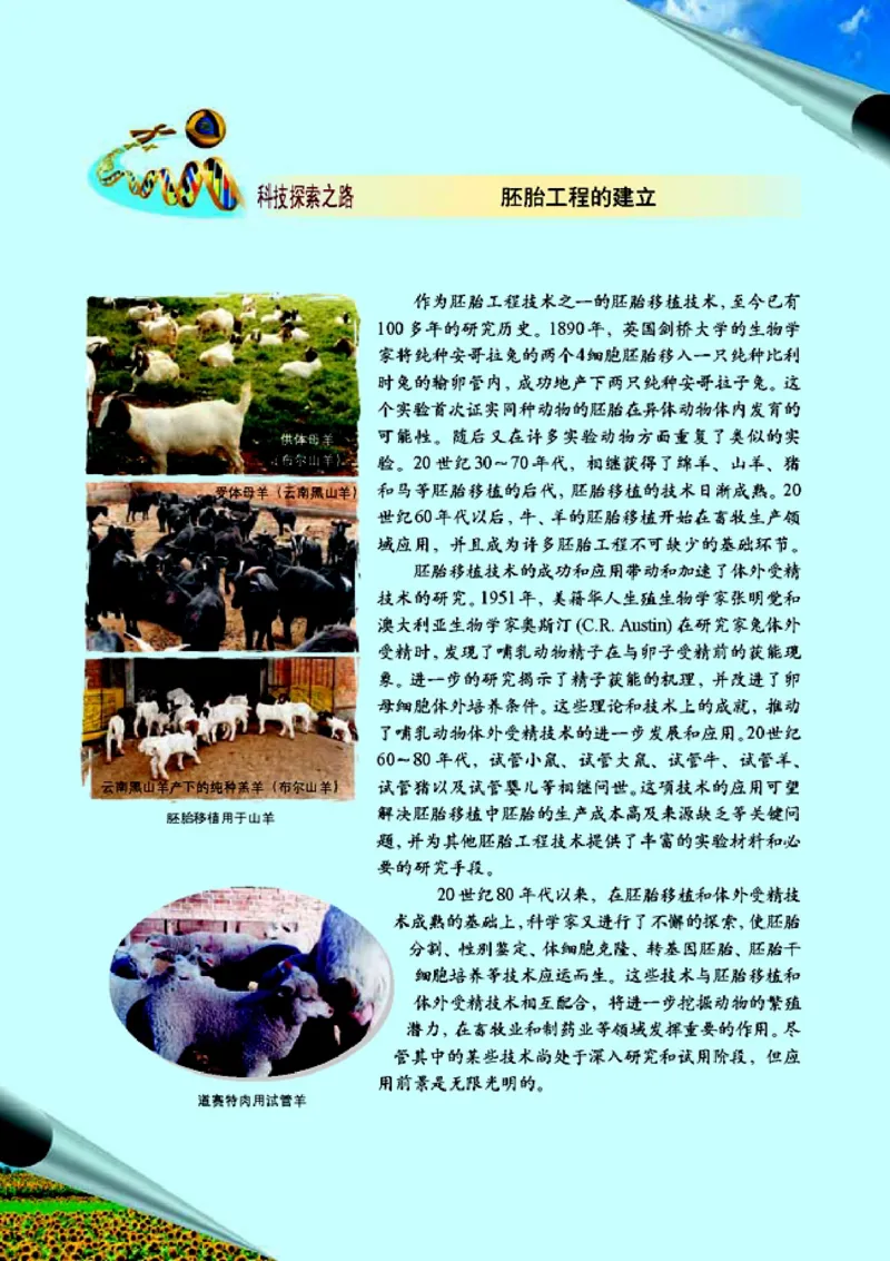 高中生物选修3现代生物科技专题_4-教培资料-26年最新资料-同步更新_初中高中教资_03科三专项（进去保存报考的学科即可）_02科三专项（笔记真题思维导图教学设计版本二）