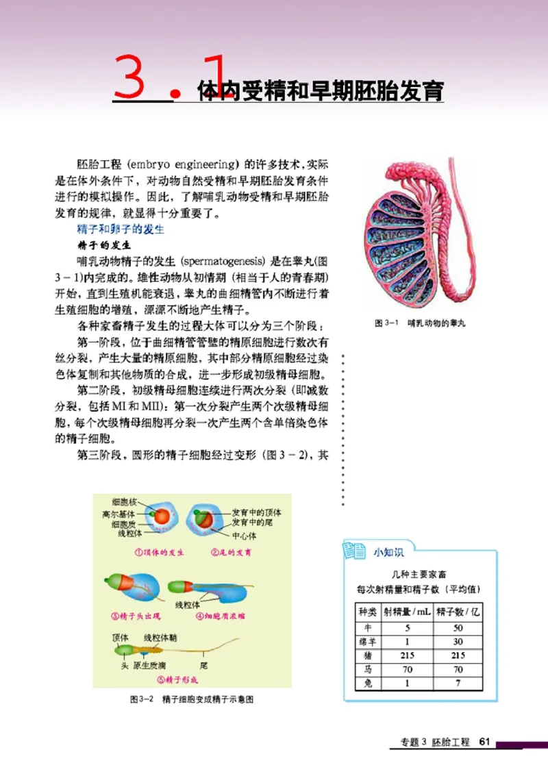 高中生物选修3现代生物科技专题_4-教培资料-26年最新资料-同步更新_初中高中教资_03科三专项（进去保存报考的学科即可）_02科三专项（笔记真题思维导图教学设计版本二）
