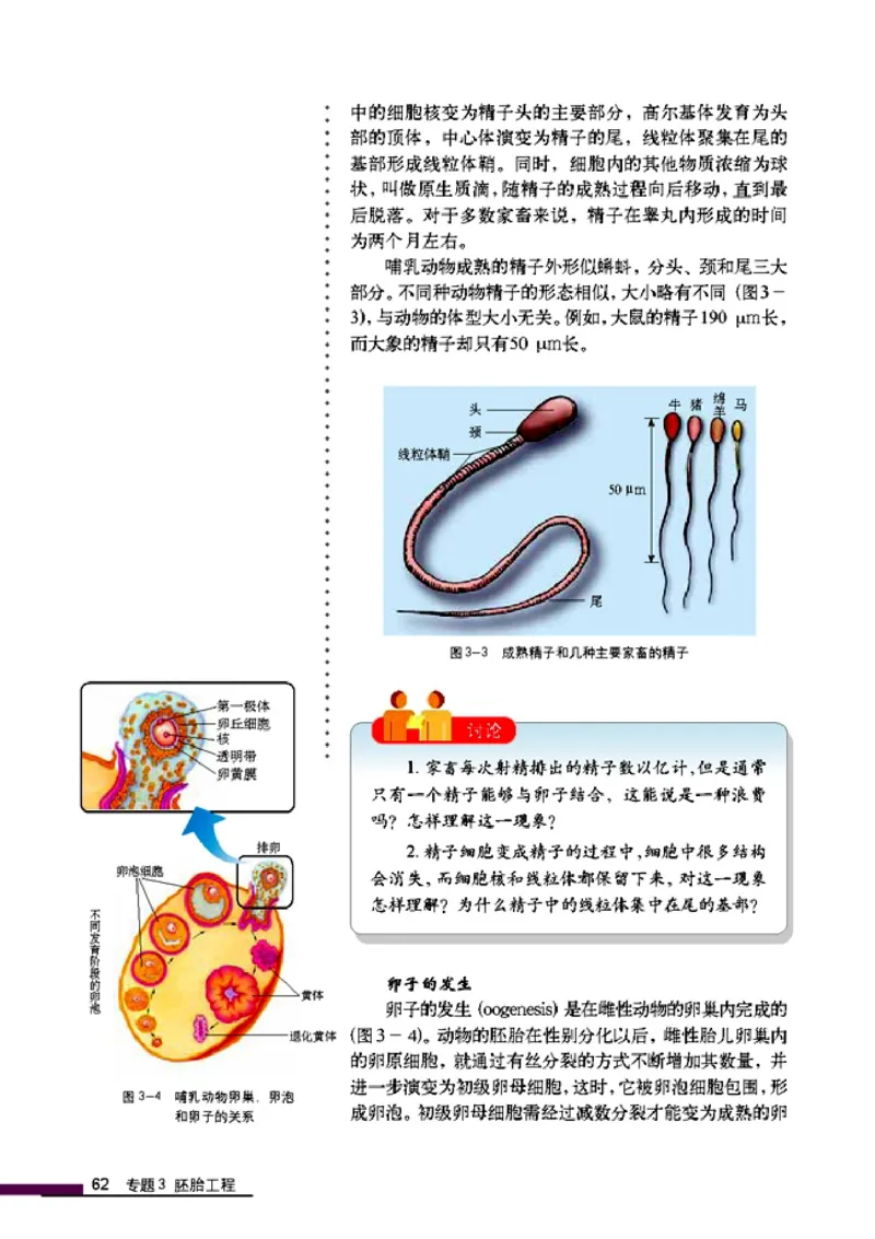 高中生物选修3现代生物科技专题_4-教培资料-26年最新资料-同步更新_初中高中教资_03科三专项（进去保存报考的学科即可）_02科三专项（笔记真题思维导图教学设计版本二）