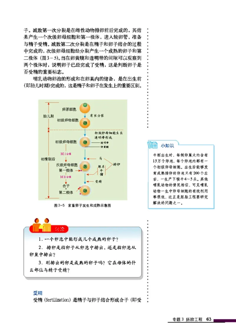 高中生物选修3现代生物科技专题_4-教培资料-26年最新资料-同步更新_初中高中教资_03科三专项（进去保存报考的学科即可）_02科三专项（笔记真题思维导图教学设计版本二）