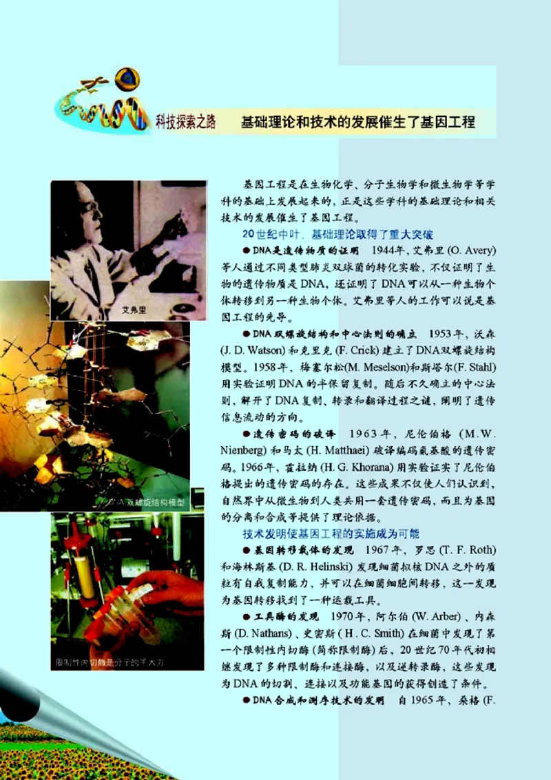 高中生物选修3现代生物科技专题_4-教培资料-26年最新资料-同步更新_初中高中教资_03科三专项（进去保存报考的学科即可）_02科三专项（笔记真题思维导图教学设计版本二）