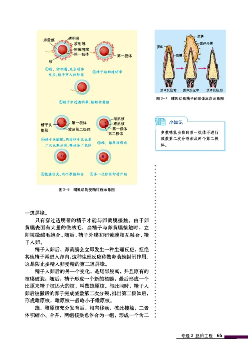高中生物选修3现代生物科技专题_4-教培资料-26年最新资料-同步更新_初中高中教资_03科三专项（进去保存报考的学科即可）_02科三专项（笔记真题思维导图教学设计版本二）