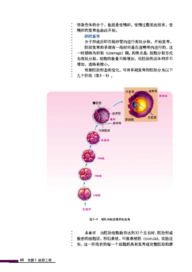高中生物选修3现代生物科技专题_4-教培资料-26年最新资料-同步更新_初中高中教资_03科三专项（进去保存报考的学科即可）_02科三专项（笔记真题思维导图教学设计版本二）