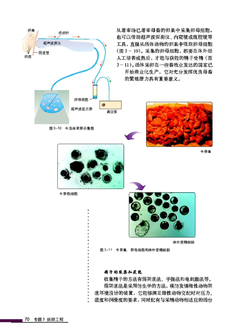 高中生物选修3现代生物科技专题_4-教培资料-26年最新资料-同步更新_初中高中教资_03科三专项（进去保存报考的学科即可）_02科三专项（笔记真题思维导图教学设计版本二）