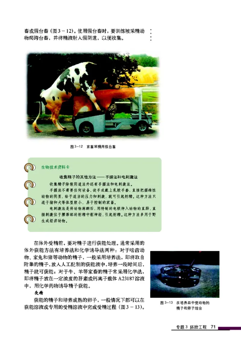 高中生物选修3现代生物科技专题_4-教培资料-26年最新资料-同步更新_初中高中教资_03科三专项（进去保存报考的学科即可）_02科三专项（笔记真题思维导图教学设计版本二）