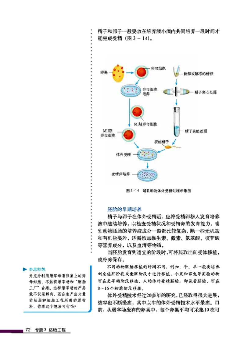 高中生物选修3现代生物科技专题_4-教培资料-26年最新资料-同步更新_初中高中教资_03科三专项（进去保存报考的学科即可）_02科三专项（笔记真题思维导图教学设计版本二）