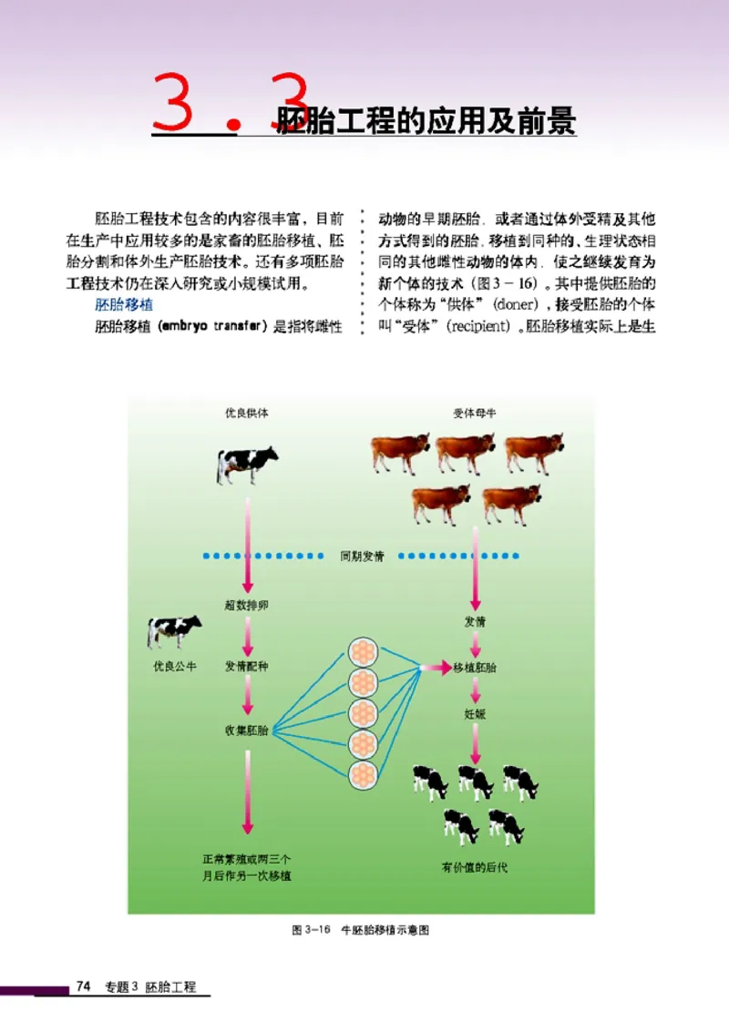 高中生物选修3现代生物科技专题_4-教培资料-26年最新资料-同步更新_初中高中教资_03科三专项（进去保存报考的学科即可）_02科三专项（笔记真题思维导图教学设计版本二）