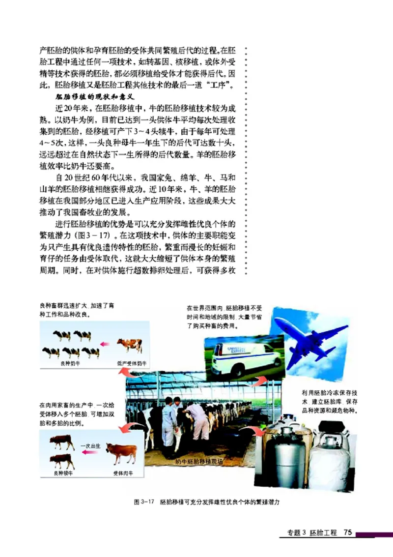 高中生物选修3现代生物科技专题_4-教培资料-26年最新资料-同步更新_初中高中教资_03科三专项（进去保存报考的学科即可）_02科三专项（笔记真题思维导图教学设计版本二）