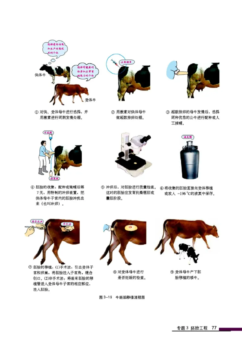 高中生物选修3现代生物科技专题_4-教培资料-26年最新资料-同步更新_初中高中教资_03科三专项（进去保存报考的学科即可）_02科三专项（笔记真题思维导图教学设计版本二）