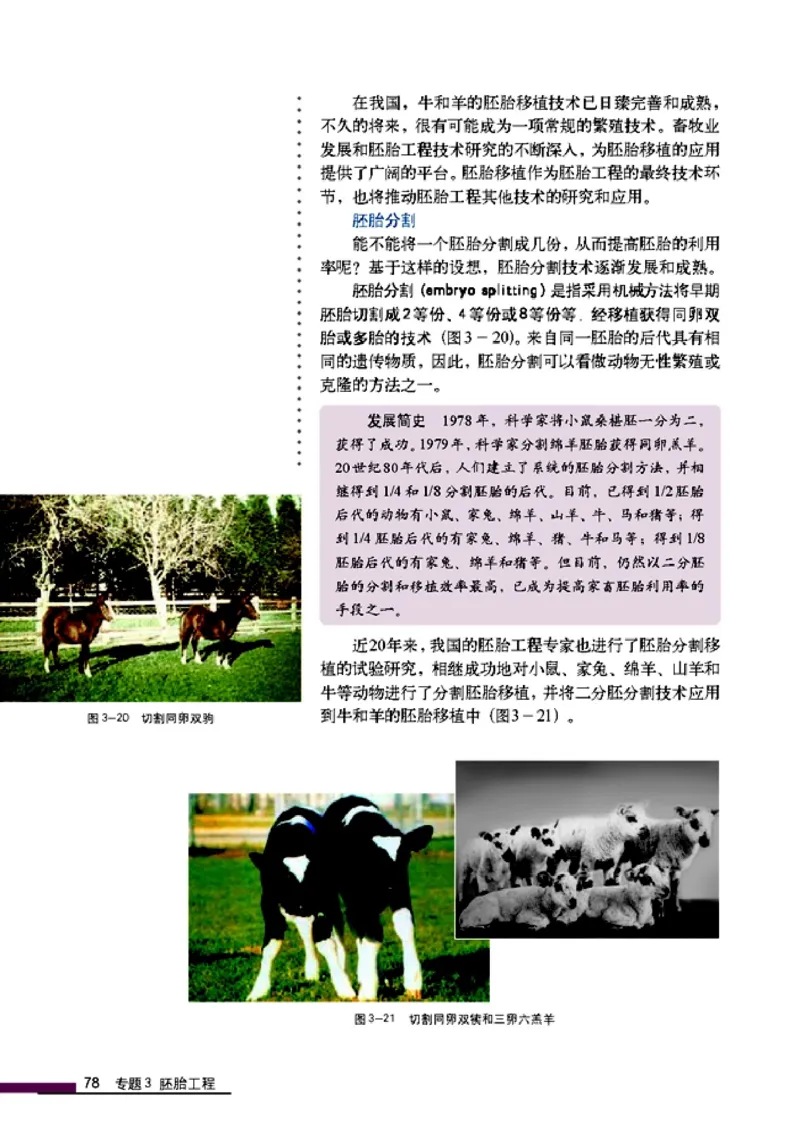 高中生物选修3现代生物科技专题_4-教培资料-26年最新资料-同步更新_初中高中教资_03科三专项（进去保存报考的学科即可）_02科三专项（笔记真题思维导图教学设计版本二）