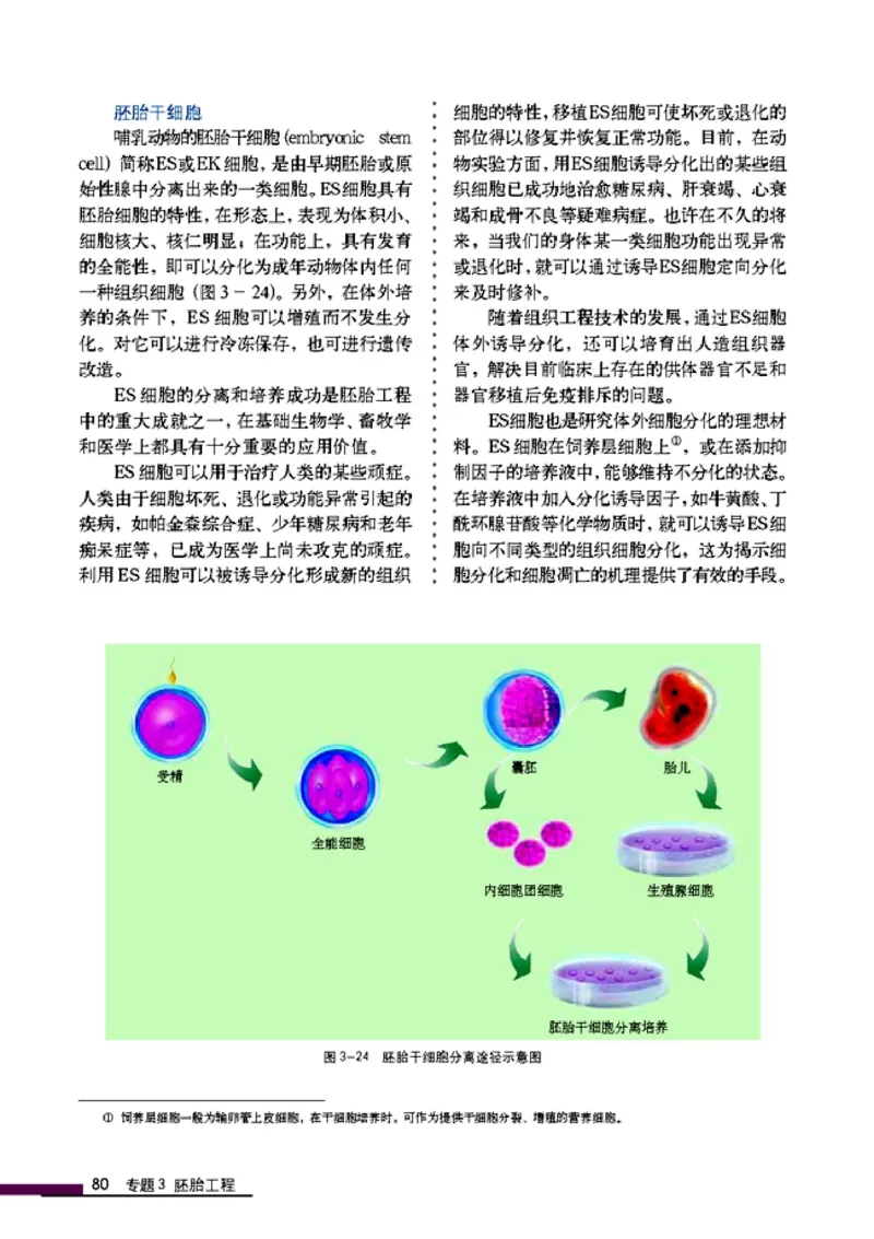高中生物选修3现代生物科技专题_4-教培资料-26年最新资料-同步更新_初中高中教资_03科三专项（进去保存报考的学科即可）_02科三专项（笔记真题思维导图教学设计版本二）