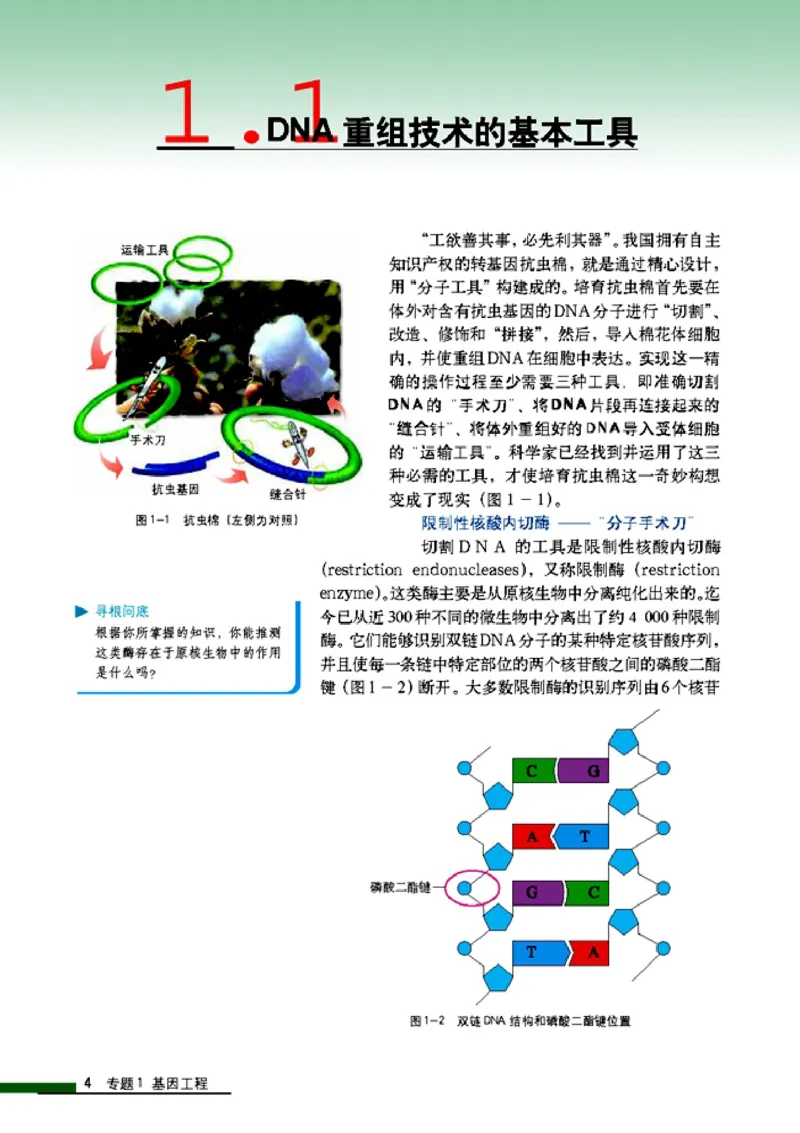 高中生物选修3现代生物科技专题_4-教培资料-26年最新资料-同步更新_初中高中教资_03科三专项（进去保存报考的学科即可）_02科三专项（笔记真题思维导图教学设计版本二）