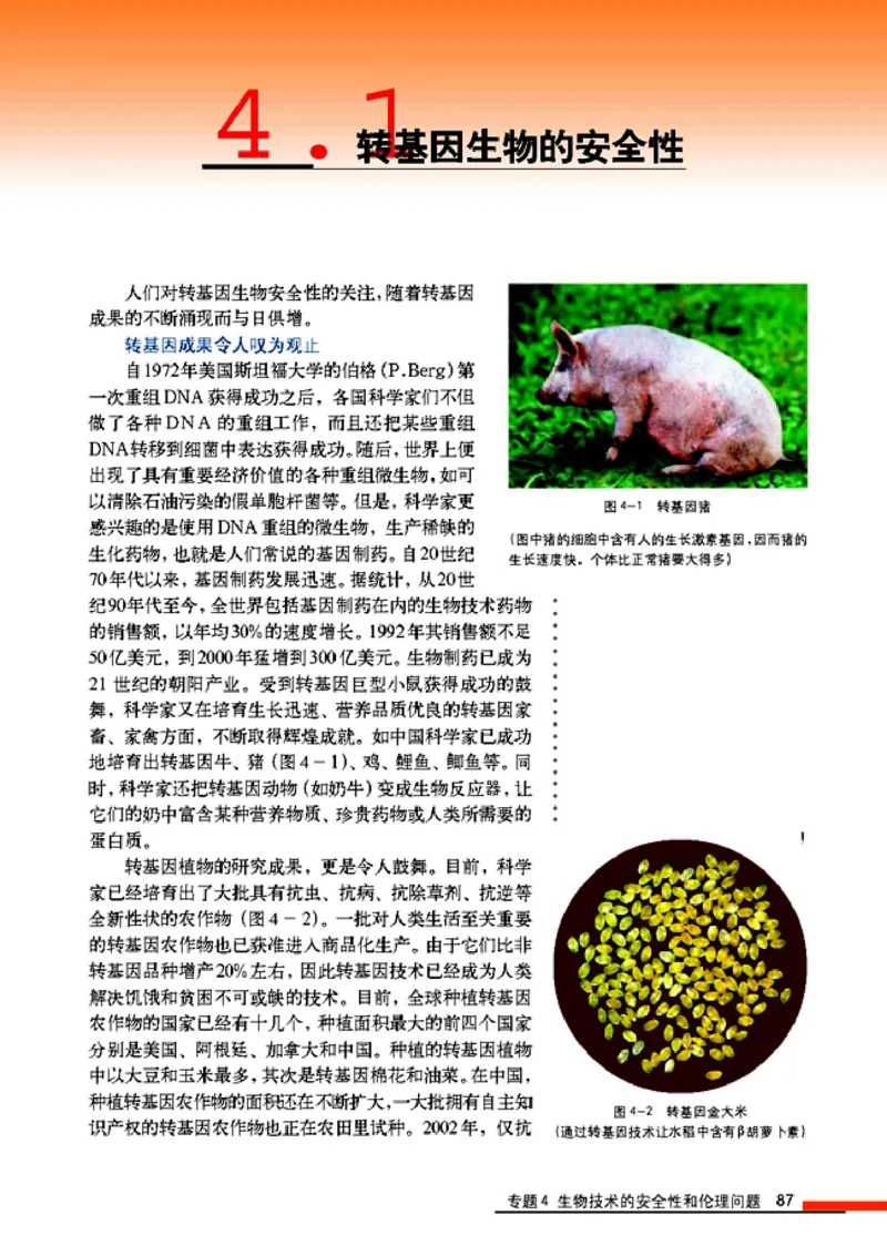 高中生物选修3现代生物科技专题_4-教培资料-26年最新资料-同步更新_初中高中教资_03科三专项（进去保存报考的学科即可）_02科三专项（笔记真题思维导图教学设计版本二）