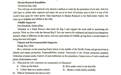 2025-2026学年度（上）高2026届9月月考英语_2025年9月_250920重庆实验外国语学校2025-2026学年度（上）高2026届9月月考（全科）_英语