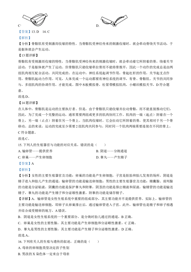 精品解析：2024年福建省中考生物试题（解析版）_中考真题_8.生物中考真题2015-2024年_2024年中考生物真题_精品解析：2024年福建省中考生物试题