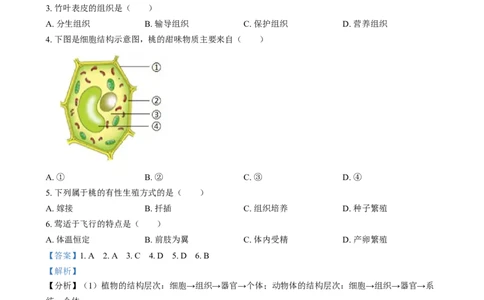 精品解析：2024年福建省中考生物试题（解析版）_中考真题_8.生物中考真题2015-2024年_2024年中考生物真题_精品解析：2024年福建省中考生物试题