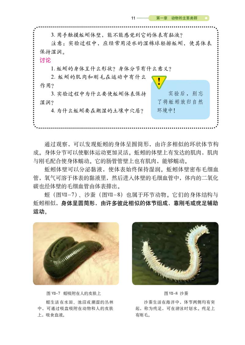 鲁教版8年级生物上册高清教材_4-教培资料-26年最新资料-同步更新_初中高中教资_03科三专项（进去保存报考的学科即可）_02科三专项（笔记真题思维导图教学设计版本二）