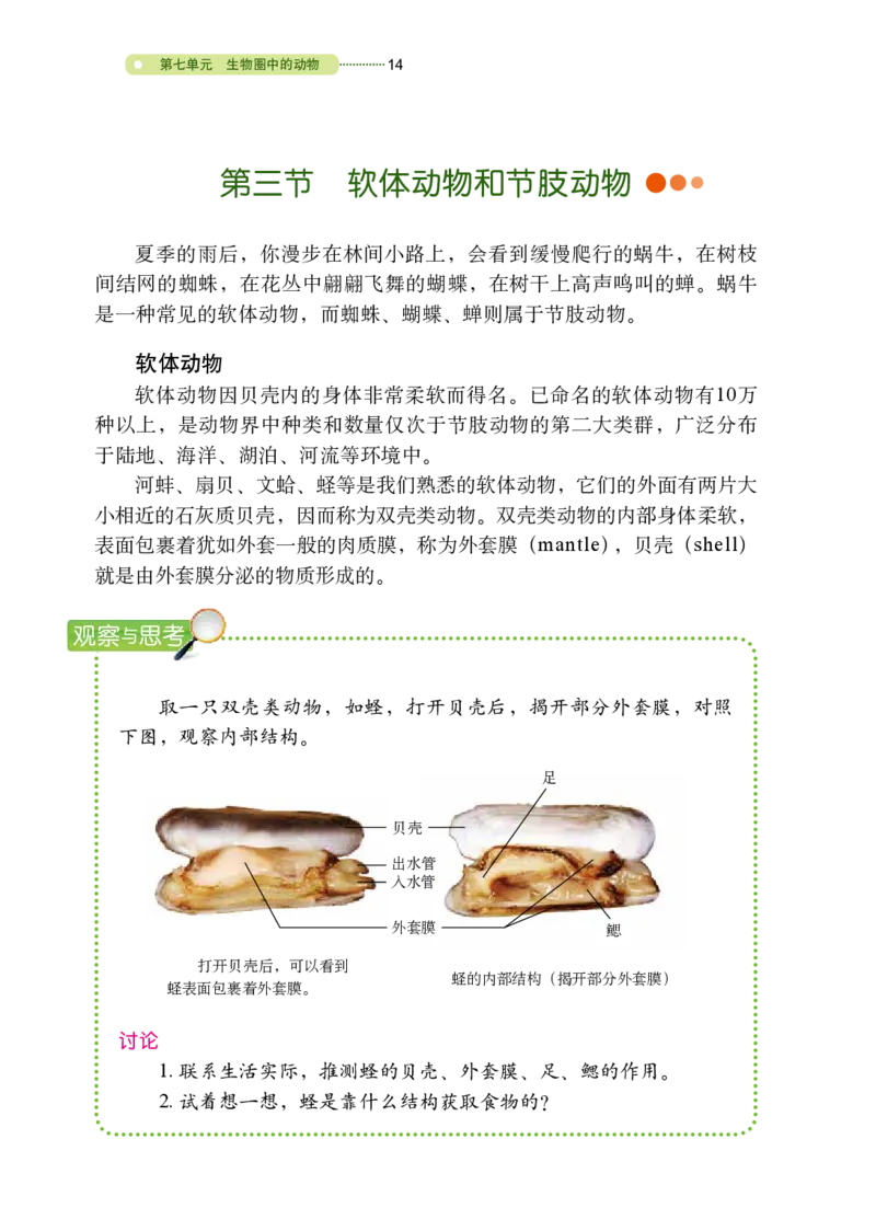 鲁教版8年级生物上册高清教材_4-教培资料-26年最新资料-同步更新_初中高中教资_03科三专项（进去保存报考的学科即可）_02科三专项（笔记真题思维导图教学设计版本二）