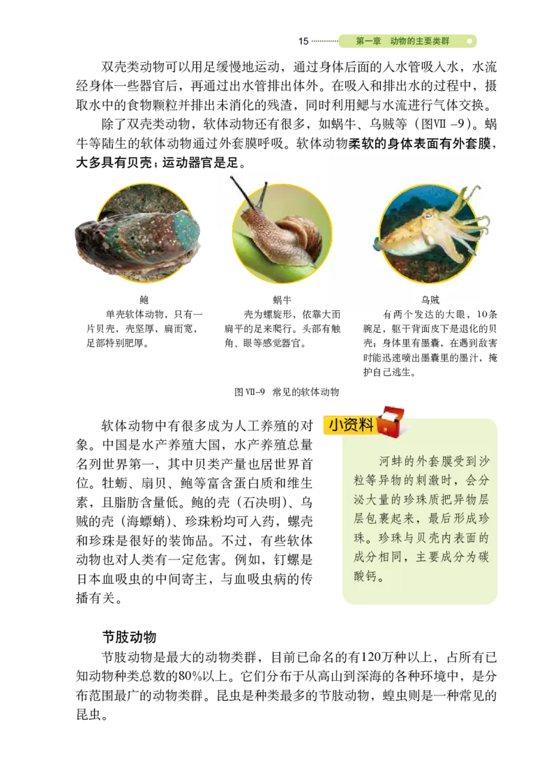 鲁教版8年级生物上册高清教材_4-教培资料-26年最新资料-同步更新_初中高中教资_03科三专项（进去保存报考的学科即可）_02科三专项（笔记真题思维导图教学设计版本二）