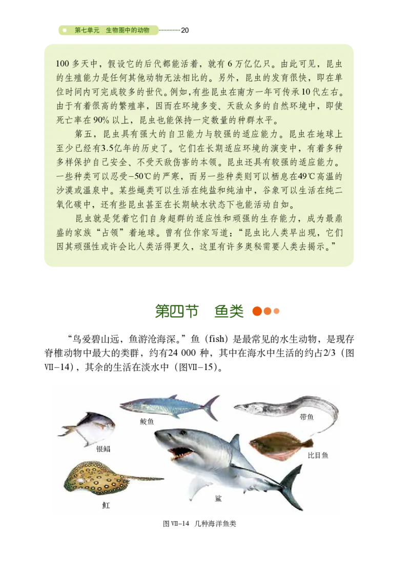 鲁教版8年级生物上册高清教材_4-教培资料-26年最新资料-同步更新_初中高中教资_03科三专项（进去保存报考的学科即可）_02科三专项（笔记真题思维导图教学设计版本二）