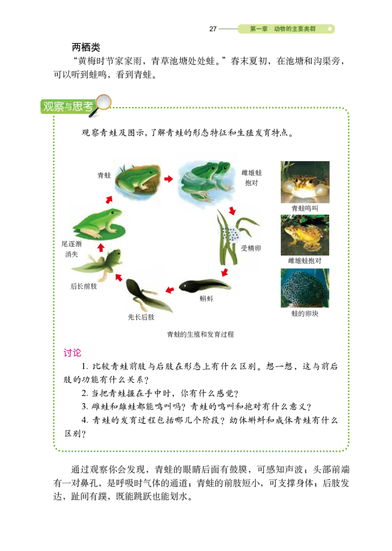 鲁教版8年级生物上册高清教材_4-教培资料-26年最新资料-同步更新_初中高中教资_03科三专项（进去保存报考的学科即可）_02科三专项（笔记真题思维导图教学设计版本二）