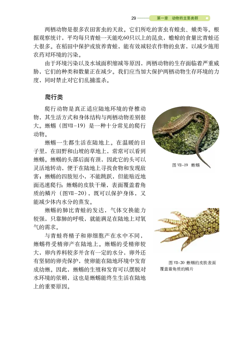 鲁教版8年级生物上册高清教材_4-教培资料-26年最新资料-同步更新_初中高中教资_03科三专项（进去保存报考的学科即可）_02科三专项（笔记真题思维导图教学设计版本二）