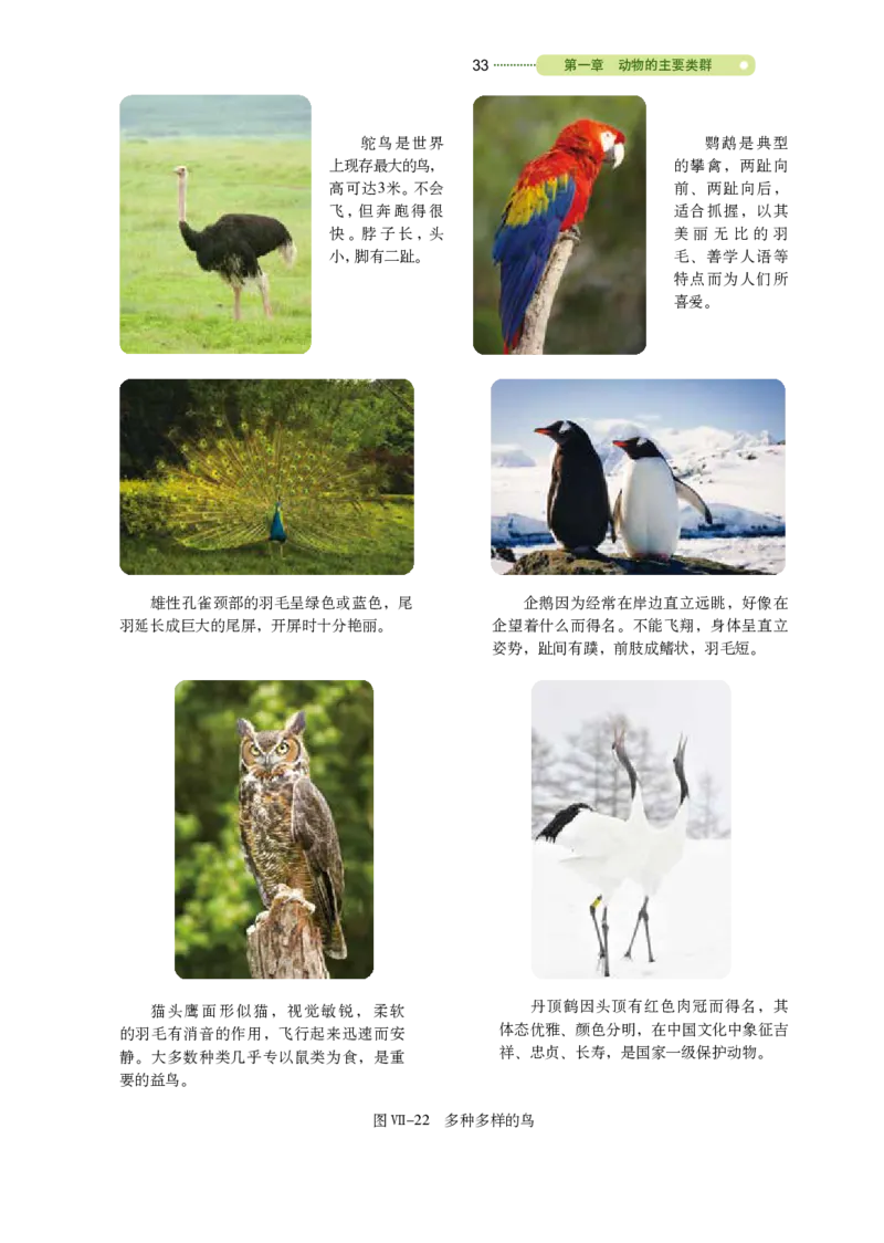 鲁教版8年级生物上册高清教材_4-教培资料-26年最新资料-同步更新_初中高中教资_03科三专项（进去保存报考的学科即可）_02科三专项（笔记真题思维导图教学设计版本二）