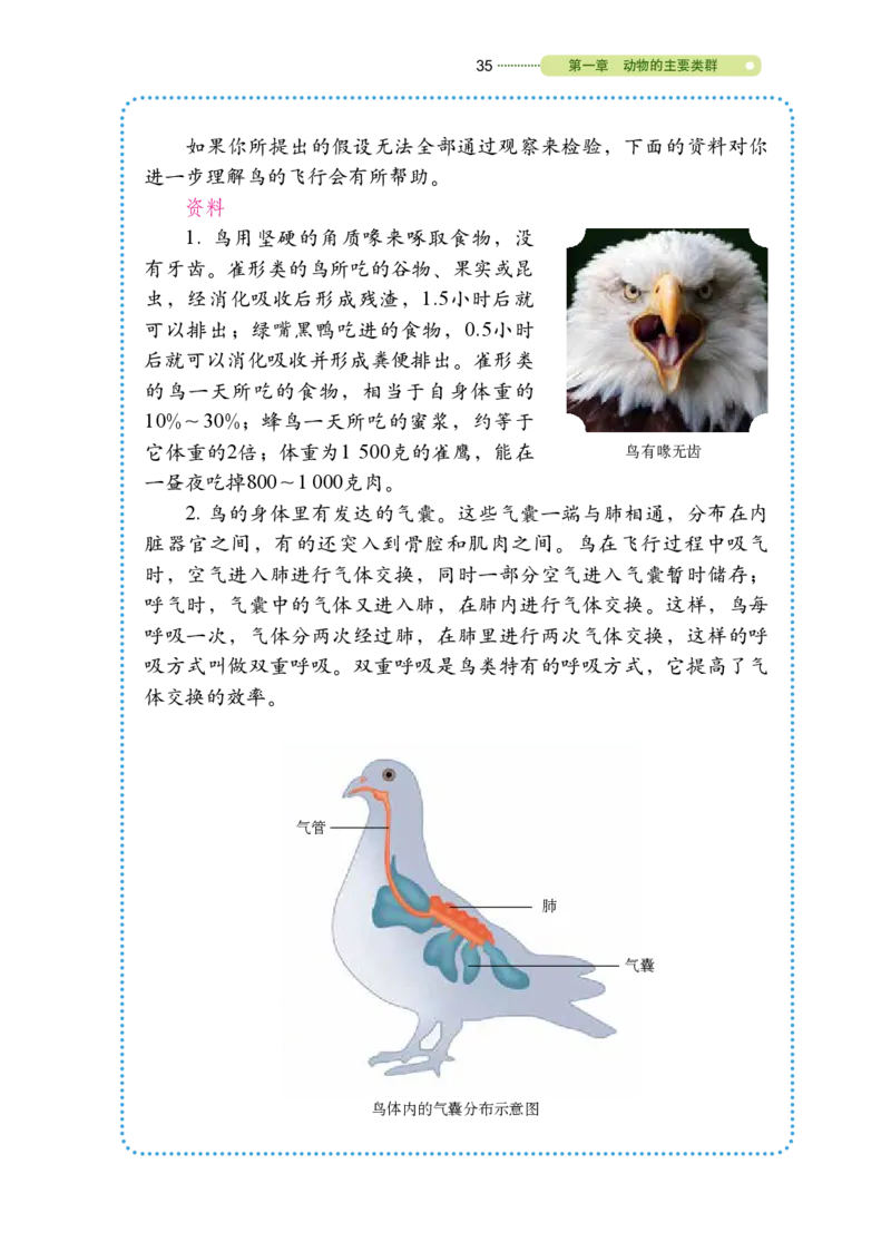 鲁教版8年级生物上册高清教材_4-教培资料-26年最新资料-同步更新_初中高中教资_03科三专项（进去保存报考的学科即可）_02科三专项（笔记真题思维导图教学设计版本二）