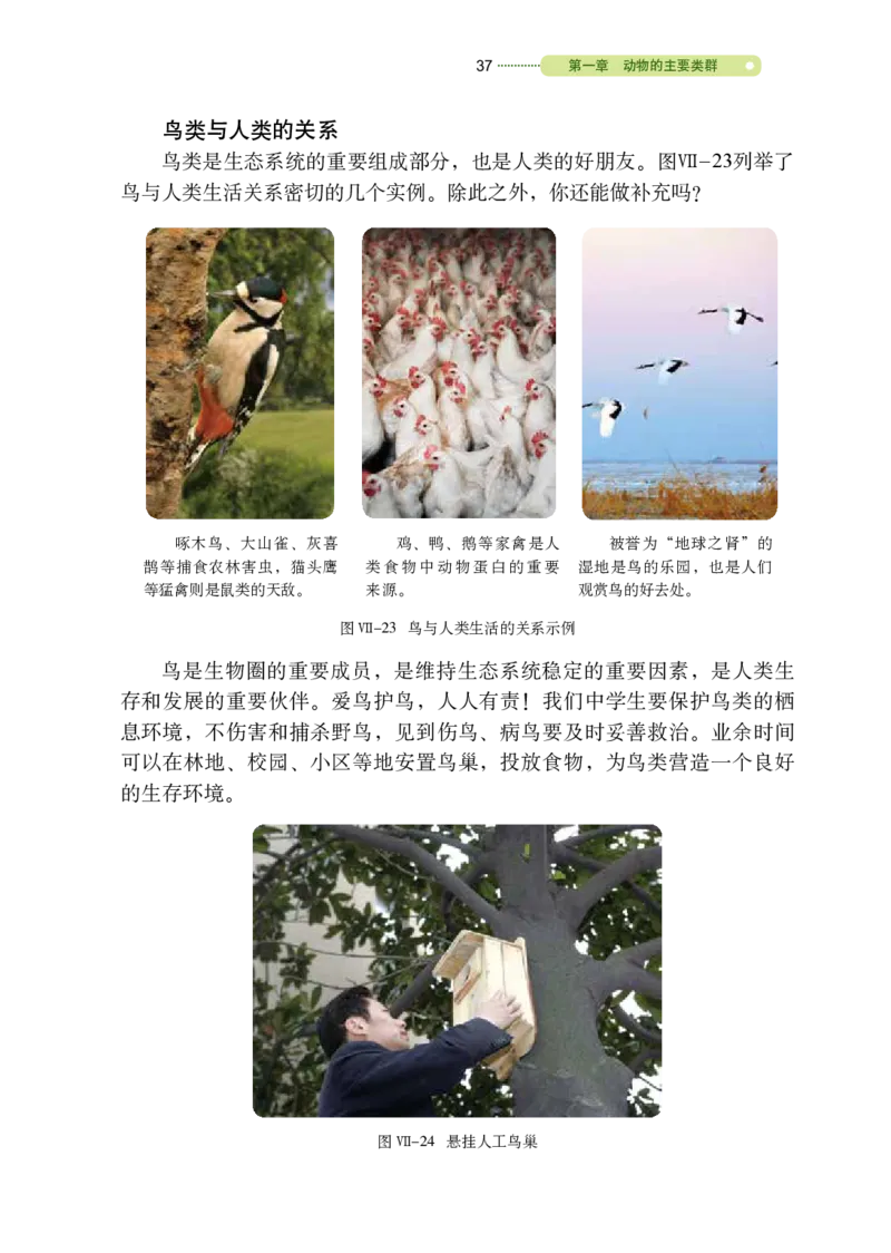 鲁教版8年级生物上册高清教材_4-教培资料-26年最新资料-同步更新_初中高中教资_03科三专项（进去保存报考的学科即可）_02科三专项（笔记真题思维导图教学设计版本二）