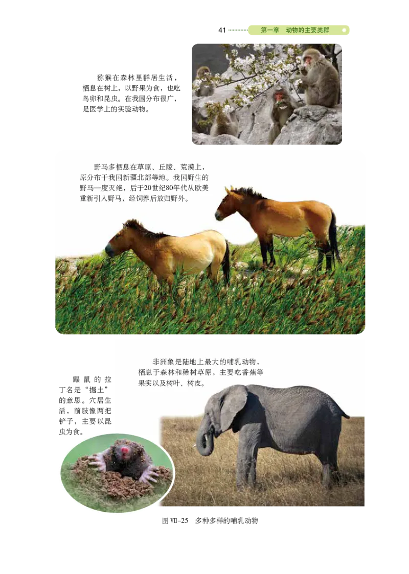 鲁教版8年级生物上册高清教材_4-教培资料-26年最新资料-同步更新_初中高中教资_03科三专项（进去保存报考的学科即可）_02科三专项（笔记真题思维导图教学设计版本二）