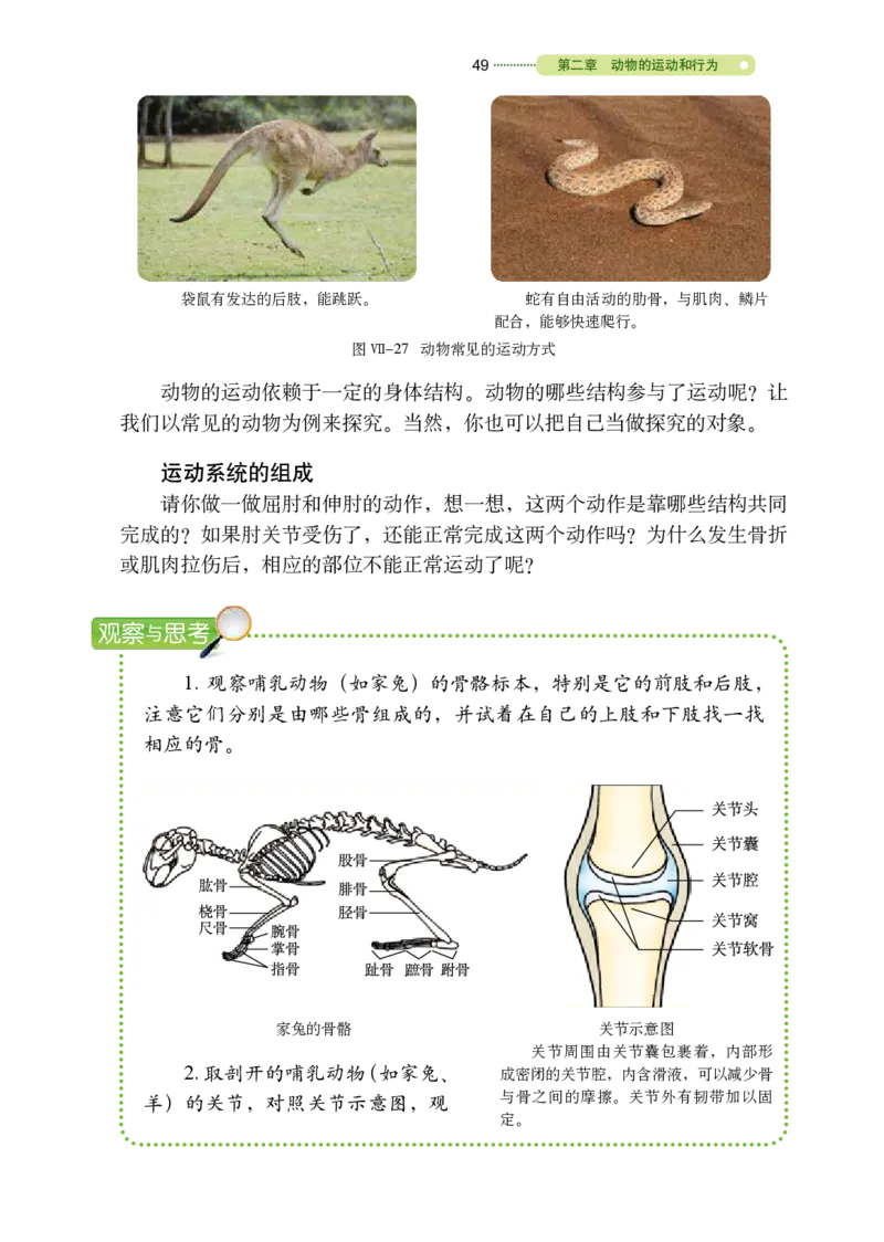 鲁教版8年级生物上册高清教材_4-教培资料-26年最新资料-同步更新_初中高中教资_03科三专项（进去保存报考的学科即可）_02科三专项（笔记真题思维导图教学设计版本二）