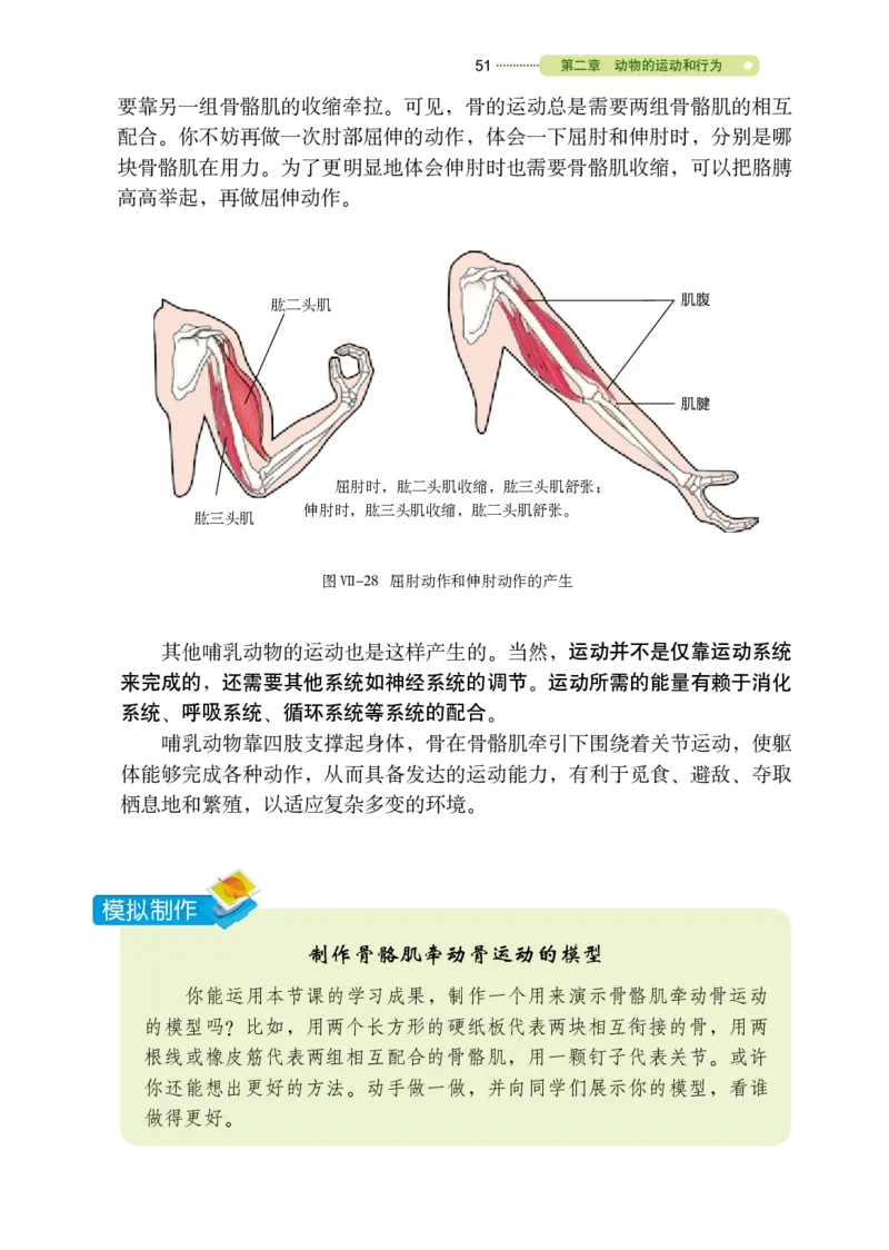 鲁教版8年级生物上册高清教材_4-教培资料-26年最新资料-同步更新_初中高中教资_03科三专项（进去保存报考的学科即可）_02科三专项（笔记真题思维导图教学设计版本二）