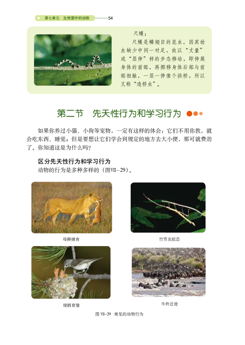 鲁教版8年级生物上册高清教材_4-教培资料-26年最新资料-同步更新_初中高中教资_03科三专项（进去保存报考的学科即可）_02科三专项（笔记真题思维导图教学设计版本二）