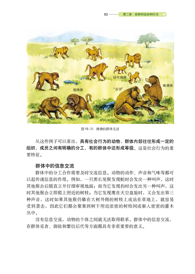 鲁教版8年级生物上册高清教材_4-教培资料-26年最新资料-同步更新_初中高中教资_03科三专项（进去保存报考的学科即可）_02科三专项（笔记真题思维导图教学设计版本二）