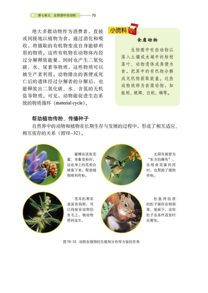 鲁教版8年级生物上册高清教材_4-教培资料-26年最新资料-同步更新_初中高中教资_03科三专项（进去保存报考的学科即可）_02科三专项（笔记真题思维导图教学设计版本二）