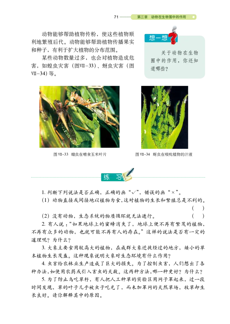 鲁教版8年级生物上册高清教材_4-教培资料-26年最新资料-同步更新_初中高中教资_03科三专项（进去保存报考的学科即可）_02科三专项（笔记真题思维导图教学设计版本二）