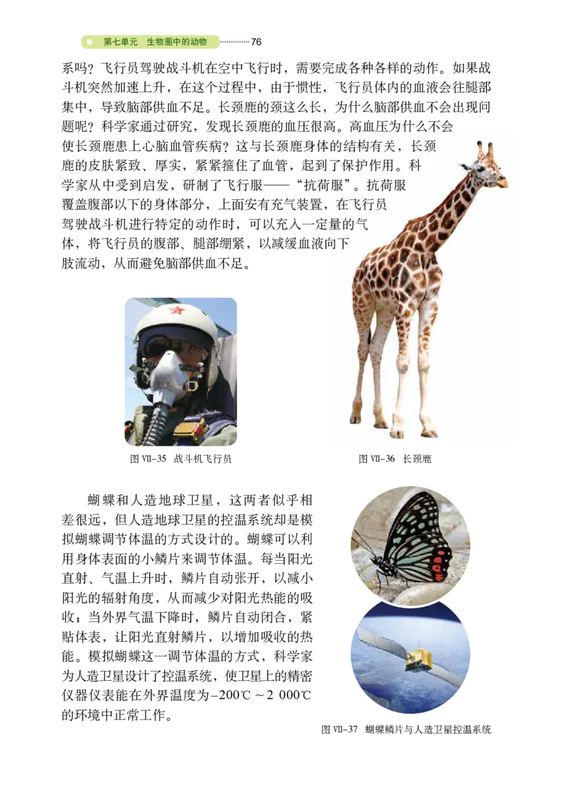 鲁教版8年级生物上册高清教材_4-教培资料-26年最新资料-同步更新_初中高中教资_03科三专项（进去保存报考的学科即可）_02科三专项（笔记真题思维导图教学设计版本二）