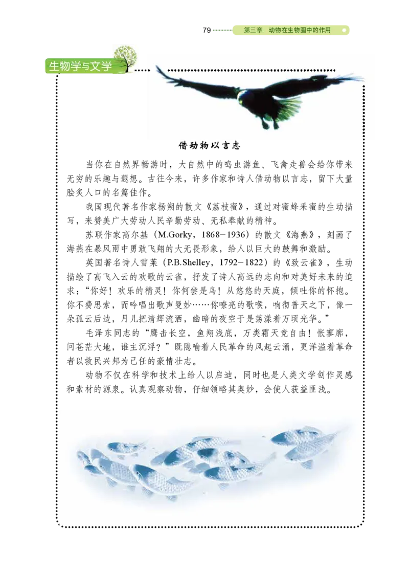 鲁教版8年级生物上册高清教材_4-教培资料-26年最新资料-同步更新_初中高中教资_03科三专项（进去保存报考的学科即可）_02科三专项（笔记真题思维导图教学设计版本二）