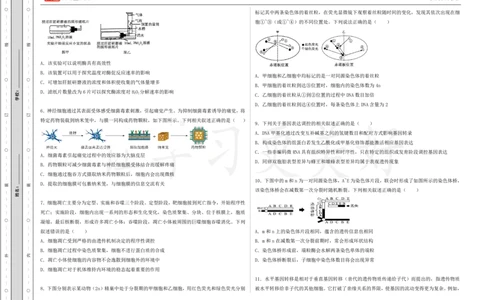 (8.46)-点睛押题卷&mdash;&mdash;浙江卷_2024高考押题卷_132024高途全系列_26高途点睛卷_2024点睛密卷-生物