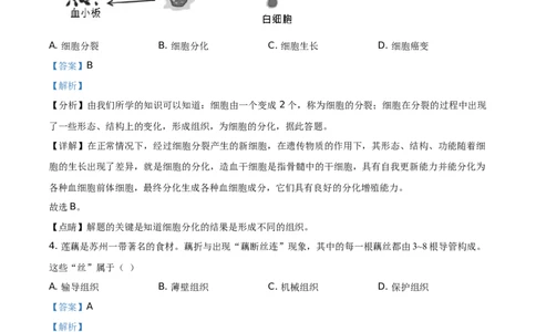 精品解析：江苏省苏州市2021年初中结业考试生物试题（解析版）_中考真题_8.生物中考真题2015-2024年_地区卷_江苏省_苏州生物只有2021