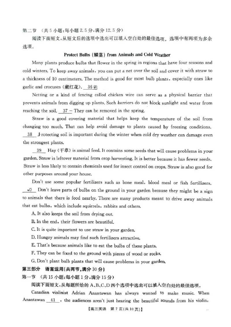 2025年1月广西高三调研考试试卷_2025年1月_250110广西南宁市2024-2025学年高中毕业班第一次适应性（广西金太阳1月）（全科）