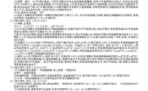九师联盟2026届高三上学期9月开学联考生物答案_2025年9月_250910河南省九师联盟2026届高三上学期9月开学联考（全科）
